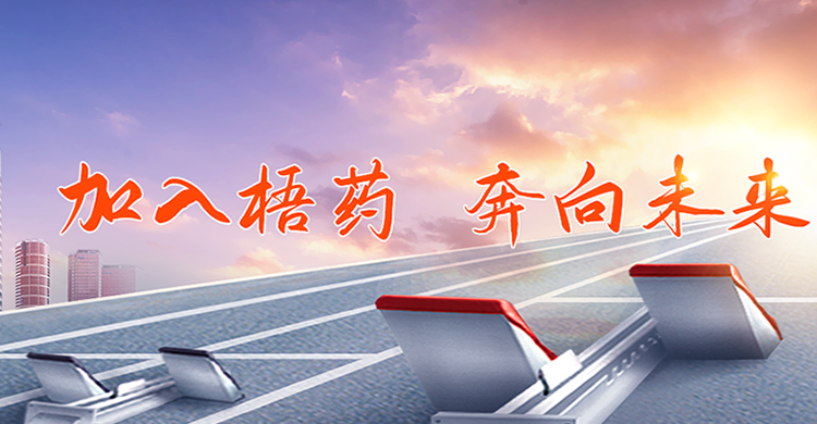 304am永利(中国)集团有限公司官网