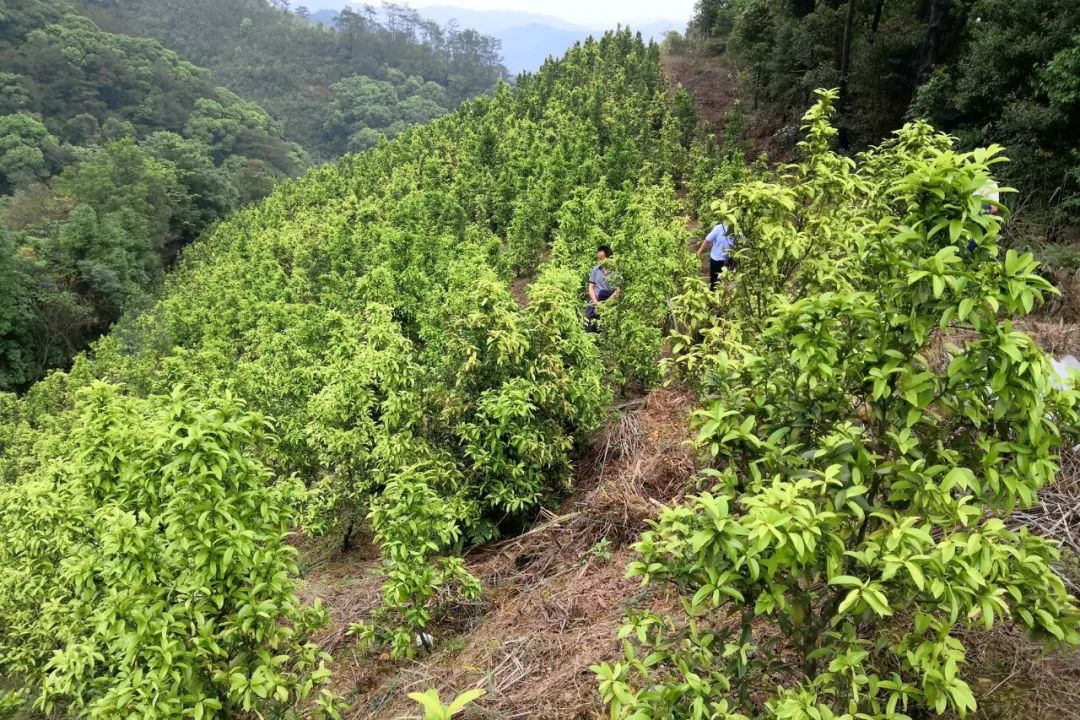 304am永利(中国)集团有限公司官网