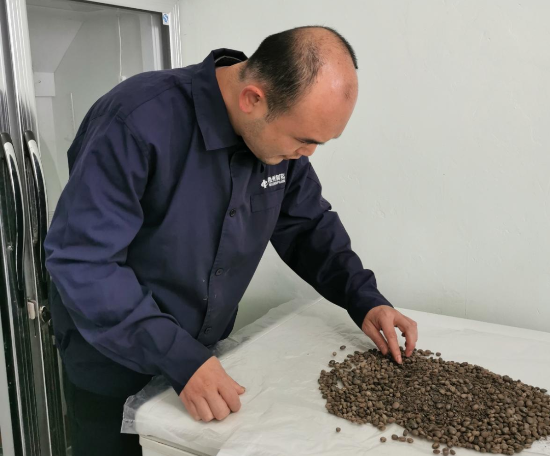 304am永利(中国)集团有限公司官网